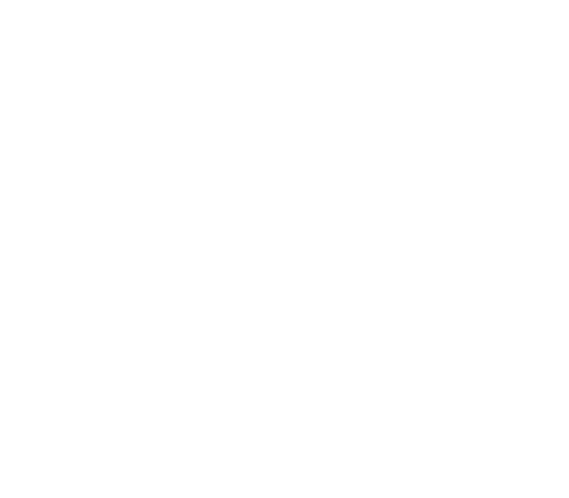 Halldor Filters Logo