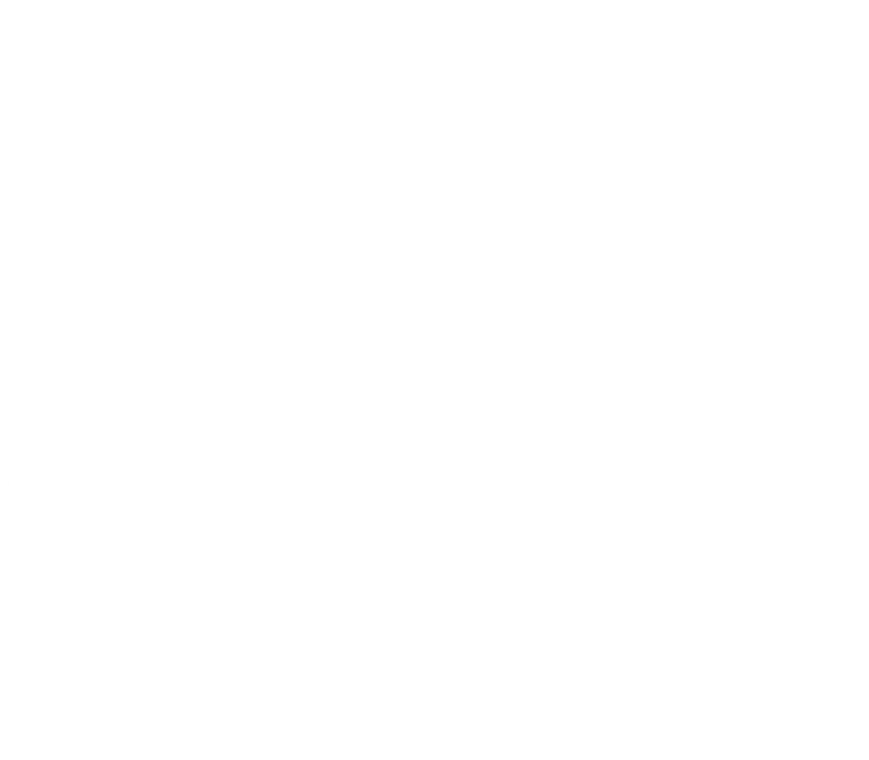 Halldor Filters Logo